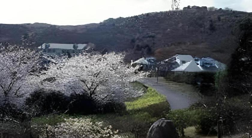 Izu Inatori Sports Villa מראה חיצוני תמונה